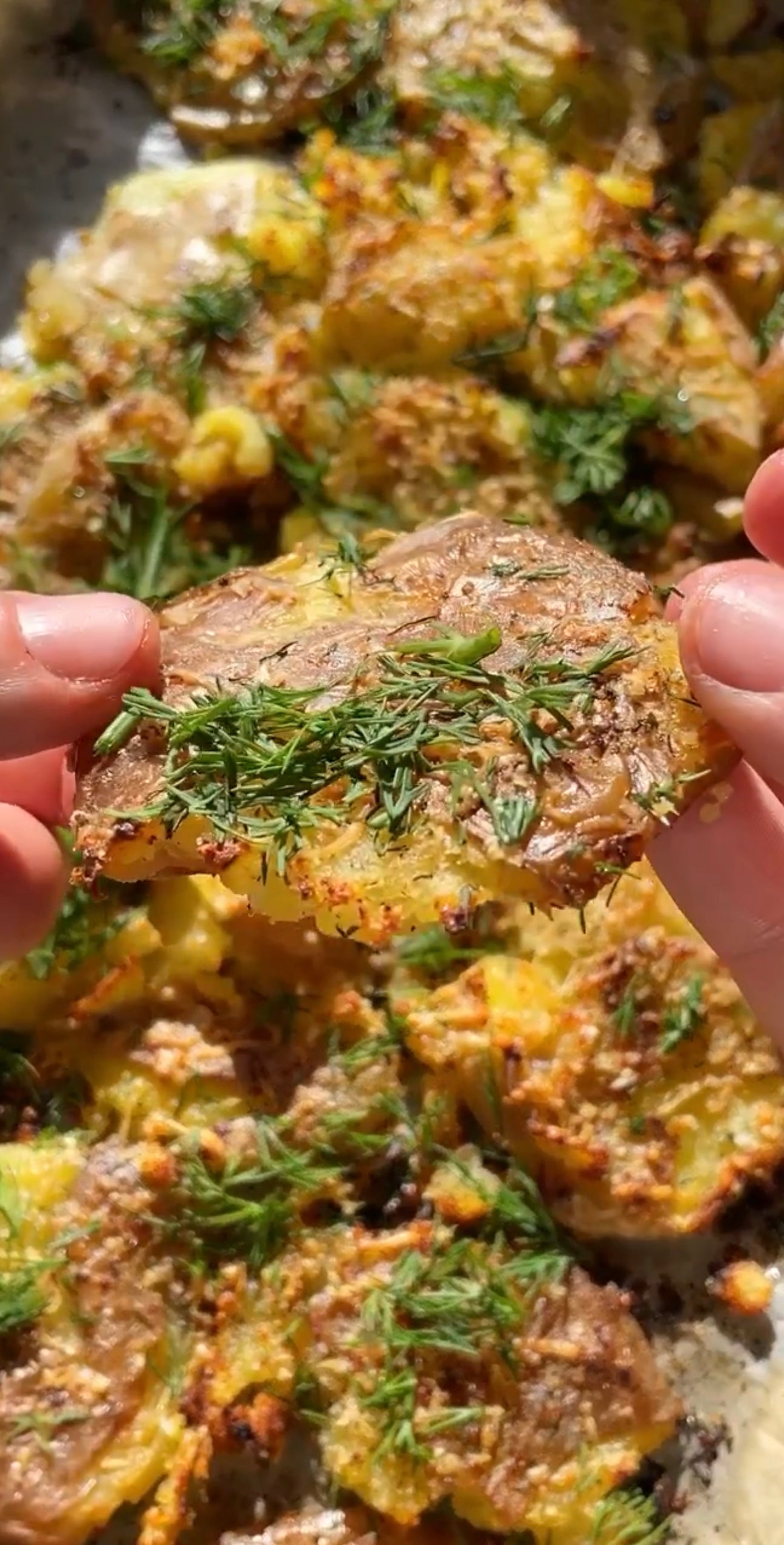 🥔🍋🌿 Lemon Dill Parm Smashed Potatoes (with Land n’ Sea)