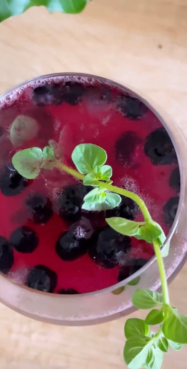 Prairie Berry Spritz ✨